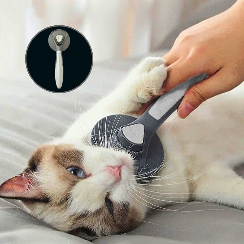 Brosse pour chat | CatBrush™