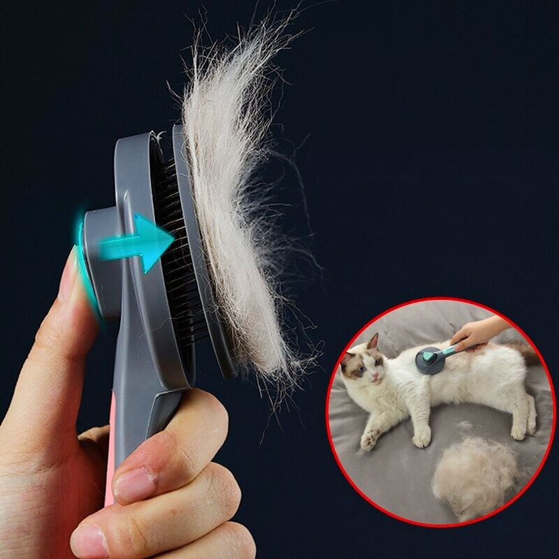 Brosse-pour-animaux