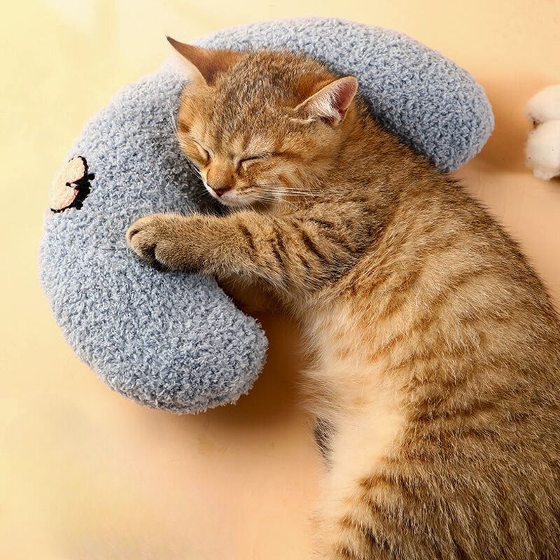 coussin-pour-chat
