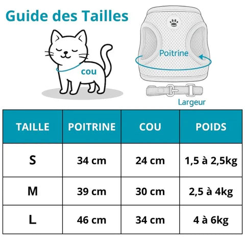 Harnais Chat Sécurisé & Confort | Catsecur™
