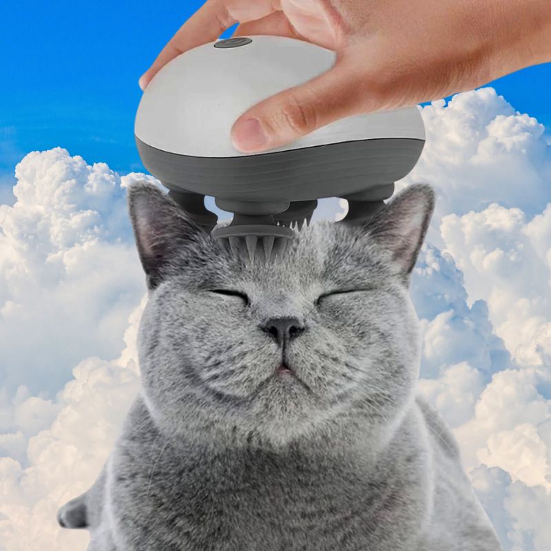 Masseur pour chat | MasseMiaouâą