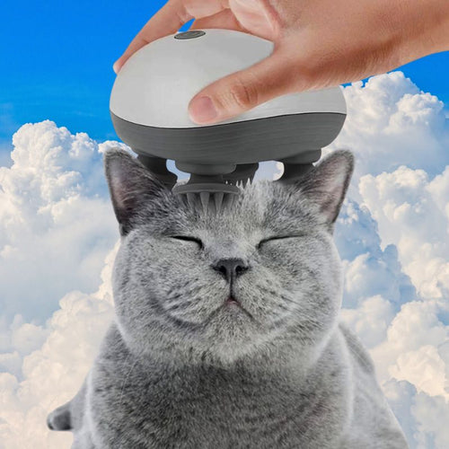 Masseur pour chat | MasseMiaouâą