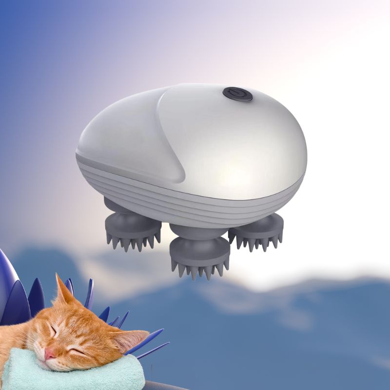 Masseur pour chat | MasseMiaouâą