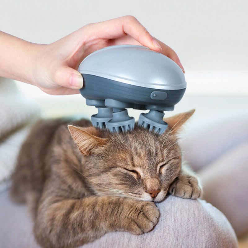Masseur pour chat | MasseMiaouâą