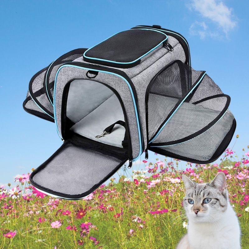 Sac de transport extensible pour chat | MiaouCamp™