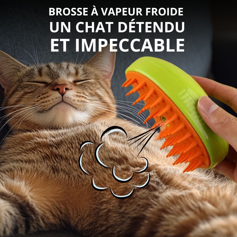 Brosse Anti-poils Massante | VapBrush™ (1+1 Offert)