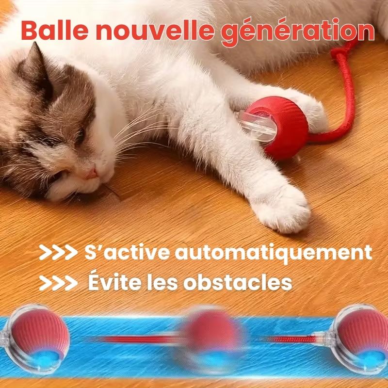 Balle interactive nouvelle génération pour chats actifs