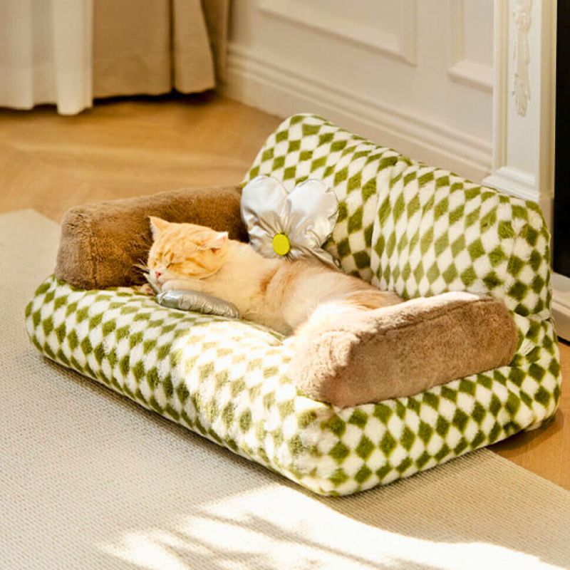 Canapé-pour-chat