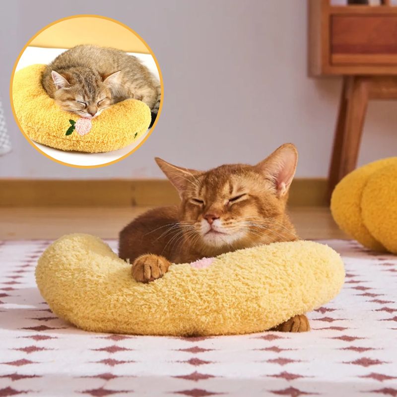 Coussins pour chat | CoussinLuneâą
