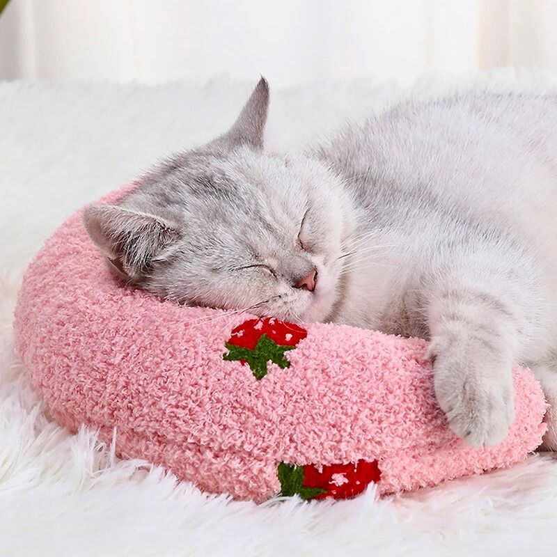 Coussins pour chat | CoussinLuneâą