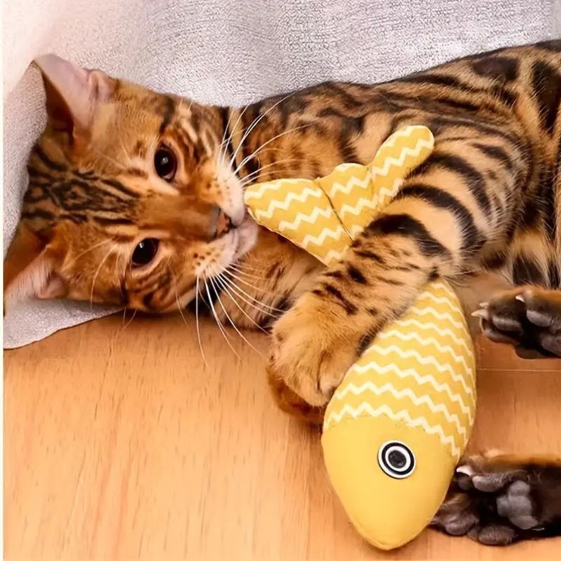 Jeux pour chat