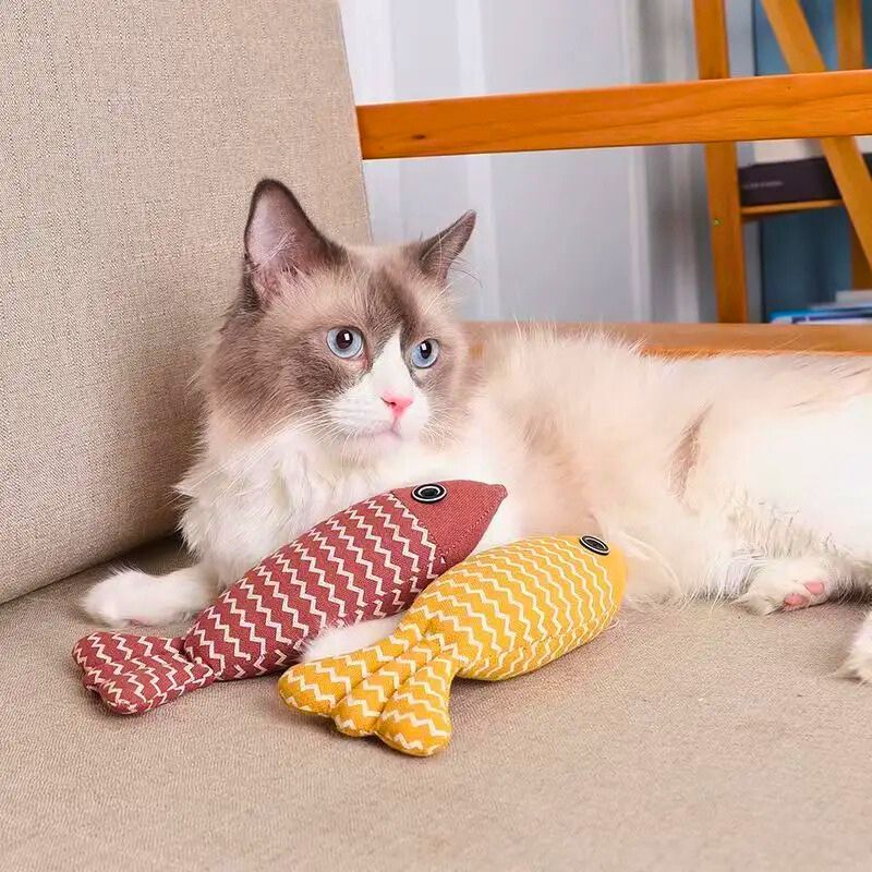 Jeux pour chat