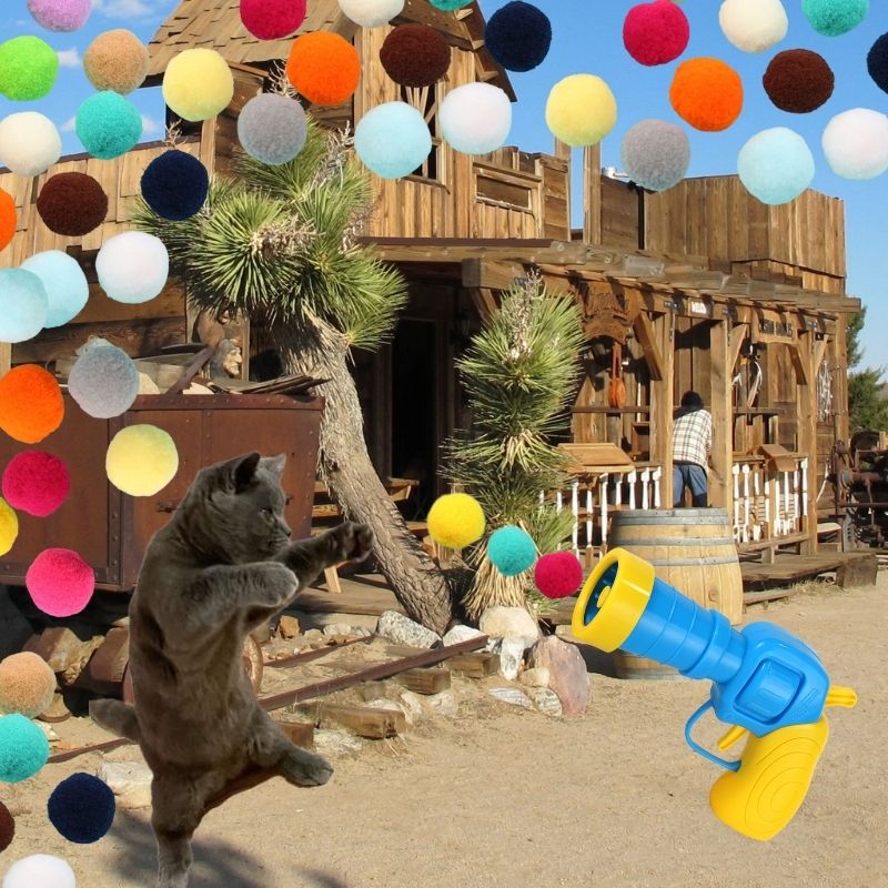 Pistolet + 50 balles pour chat | Westerncat™