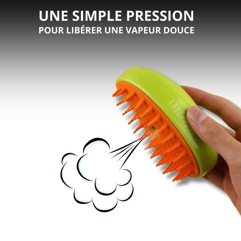 Brosse Anti-poils Massante | VapBrush™ (1+1 Offert)
