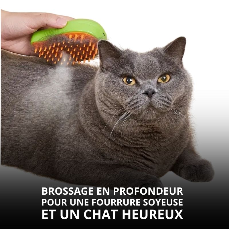 Brosse Anti-poils Massante | VapBrush™ (1+1 Offert)