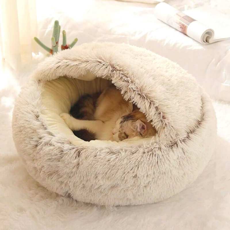 Coussin-chat-Ma-Boutique-Chat