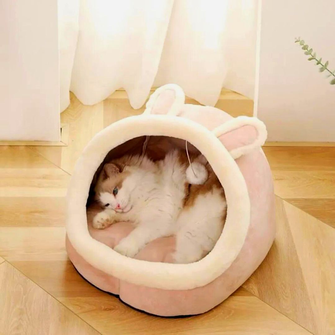 Grotte pour chat | AnimalGrot™