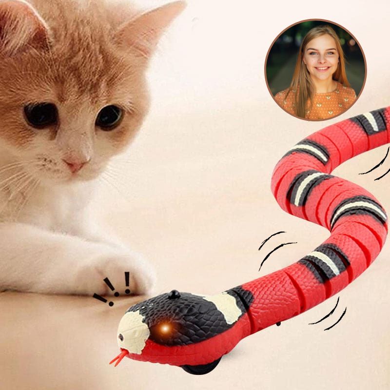 Jeux-chat-Ma-Boutique-Chat