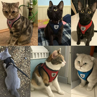 Harnais Chat Sécurisé & Confort | Catsecur™
