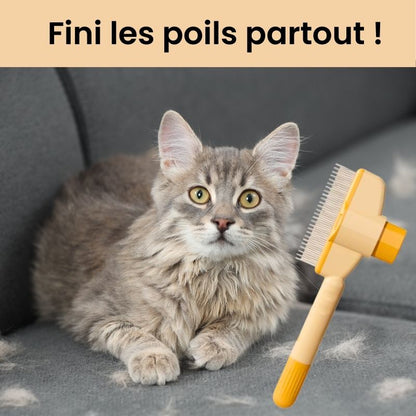 Peigne Attrape-Poils - MiraclePoil™