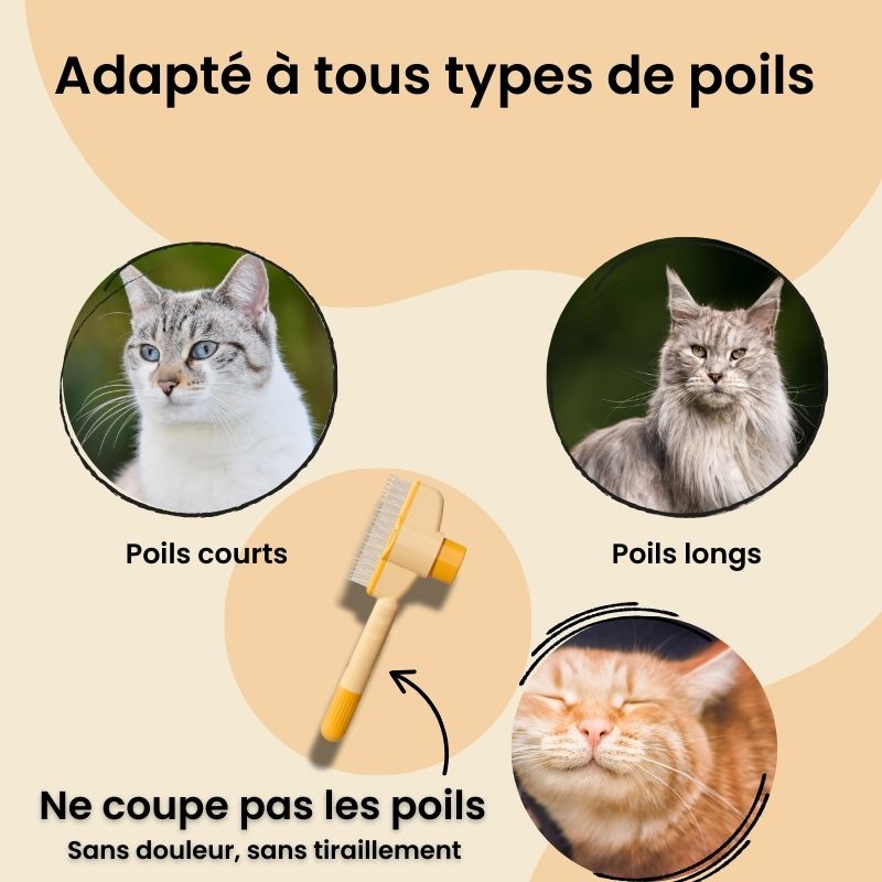 Peigne Attrape-Poils - MiraclePoil™