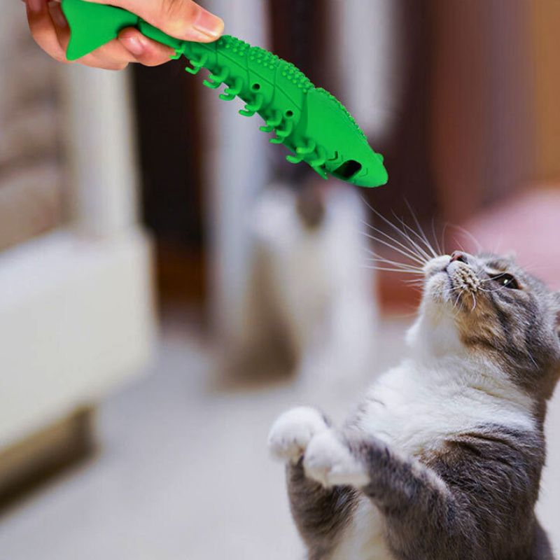 Brosse-a-dent-pour-chat