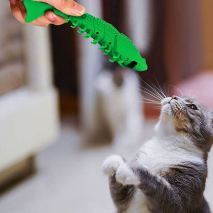 Brosse-a-dent-pour-chat