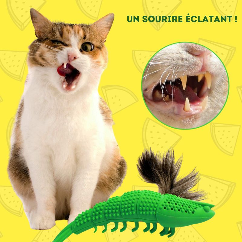 Brosse-a-dent-pour-chat