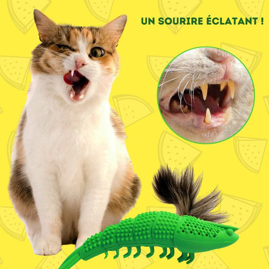 Brosse-a-dent-pour-chat