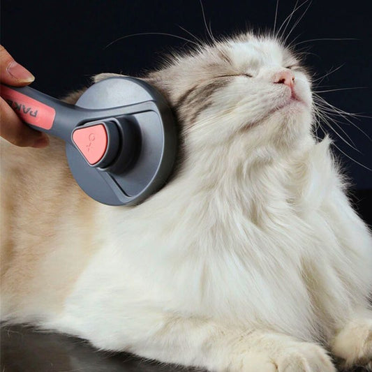 Brosse-pour-animaux