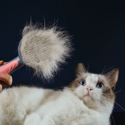 Brosse-pour-animaux