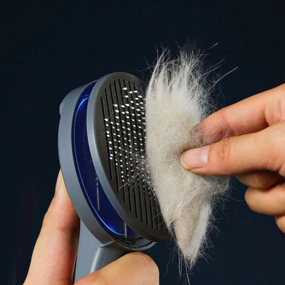 Brosse-pour-animaux