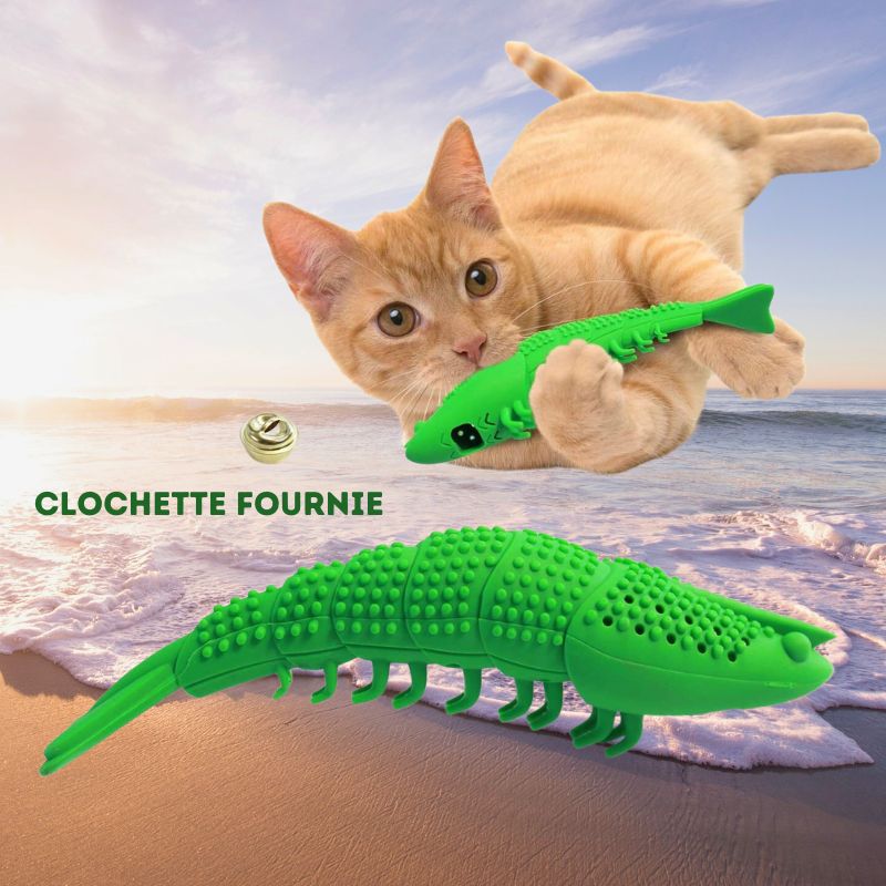 Brosse-a-dent-pour-chat