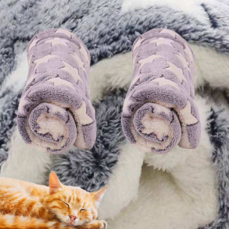 Couverture pour chat | CatsCovered™