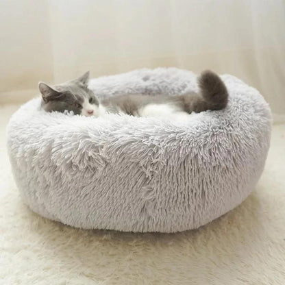 Coussin pour chat ❘ NuageCats™