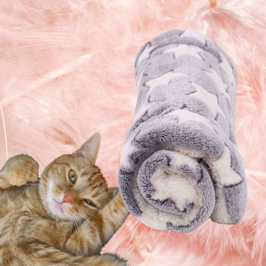 Couverture-pour-chat