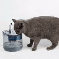 Fontaine à eau pour chat | AquaMiaou™