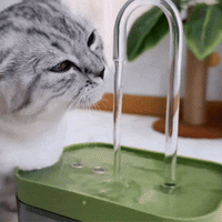 Fontaine à eau pour chat | CatWater™