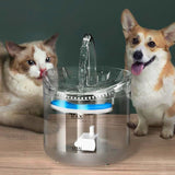 Fontaine à eau pour chat | AquaMiaou™