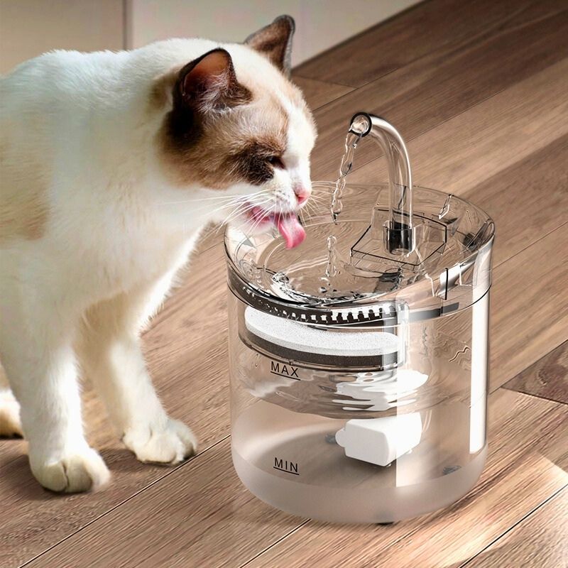 Fontaines à eau pour chat