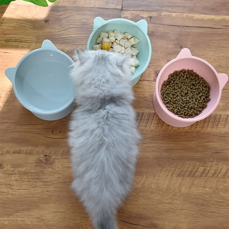 Gamelle-chat-surelevée