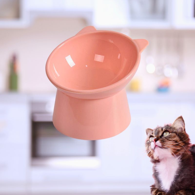 Gamelle-chat-surelevée