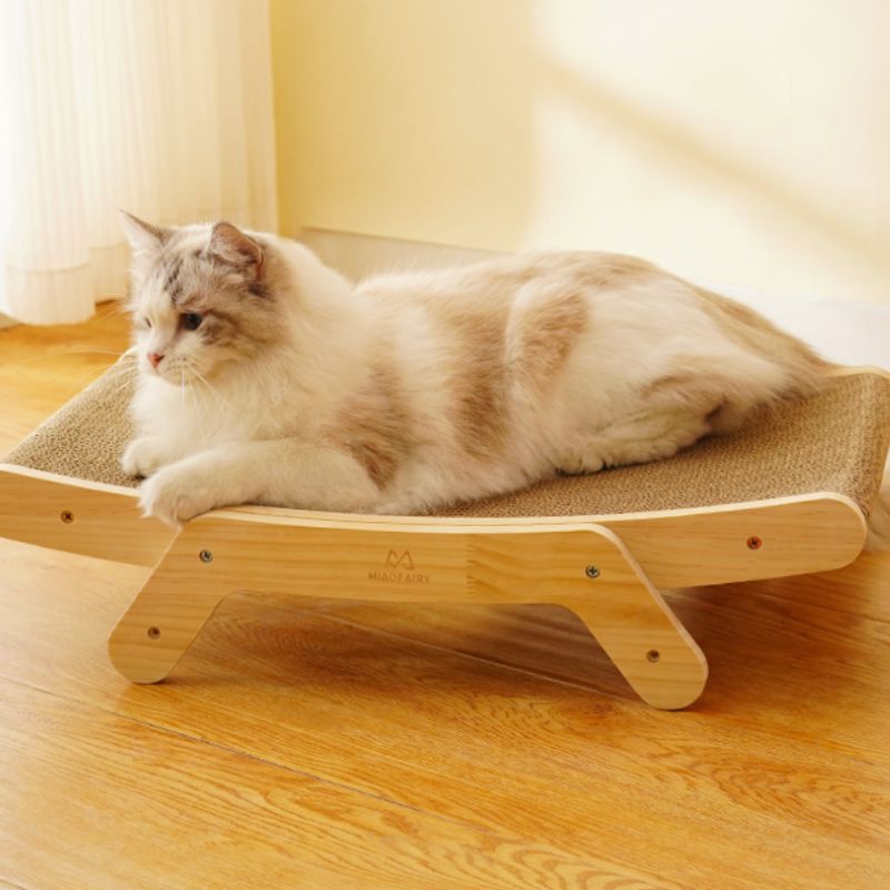 Griffoir chat carton | ScratchyParadise™