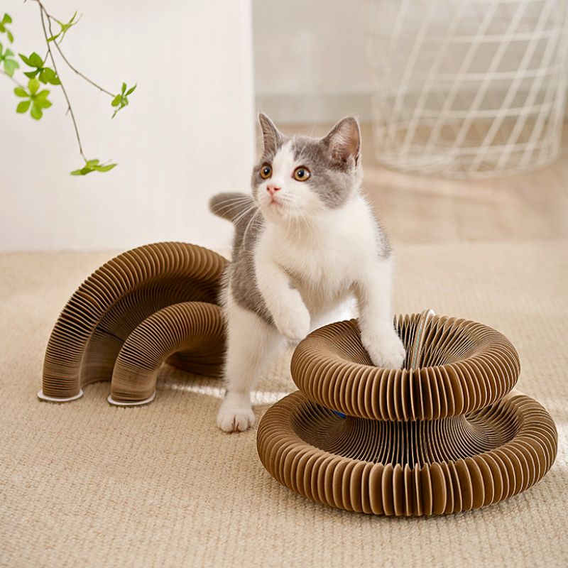Le jouet griffoir pour chat | MagicGriff™