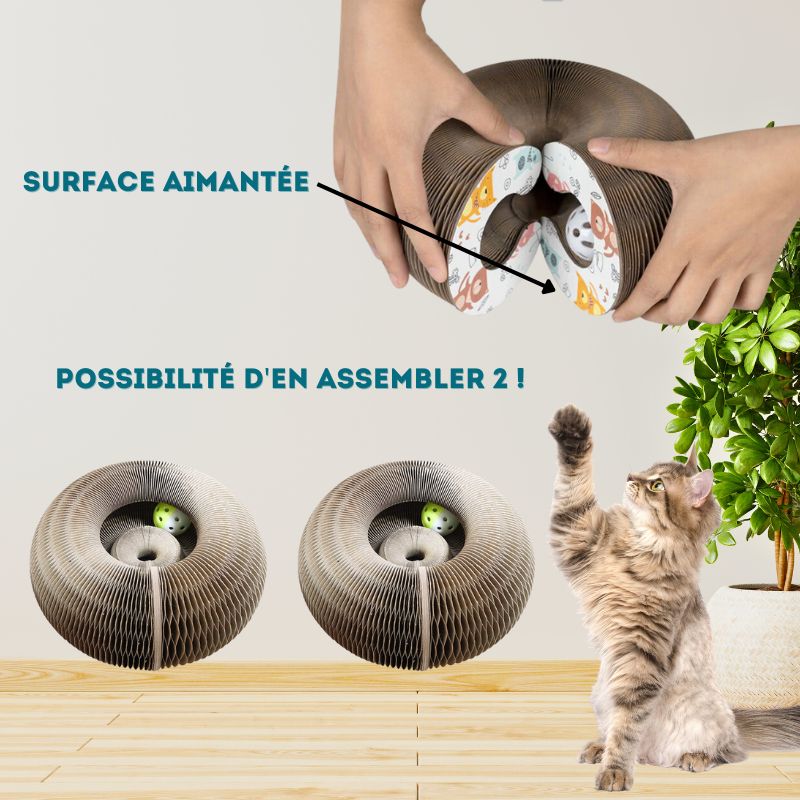 Le jouet griffoir pour chat | MagicGriff™