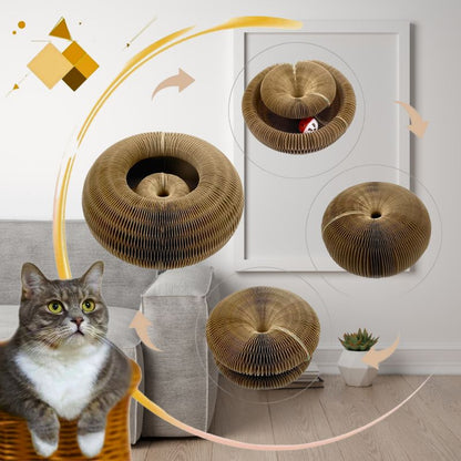 Le jouet griffoir pour chat | MagicGriff™