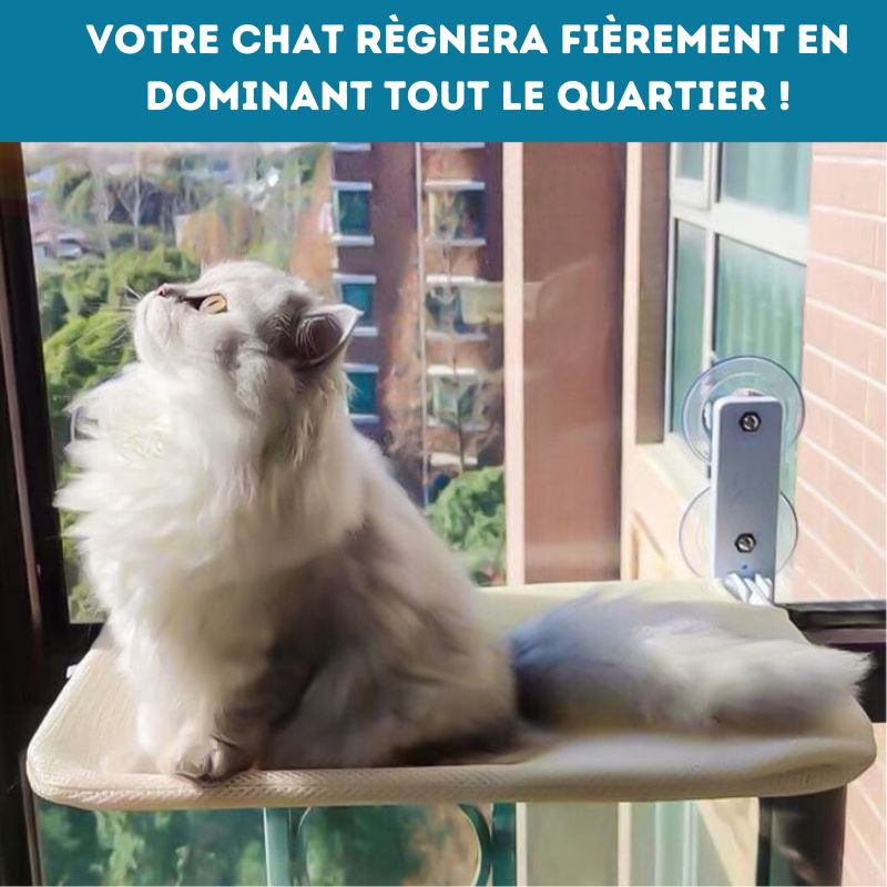 Hamac-pour-chat