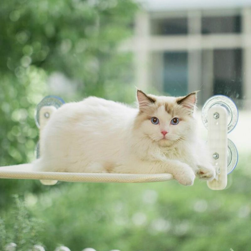 Hamac-pour-chat
