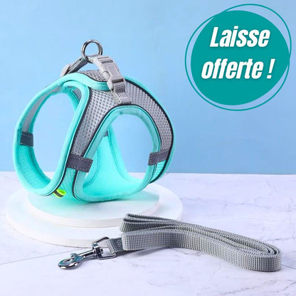 Harnais pour chat | Chaventure™ + Laisse Offerte