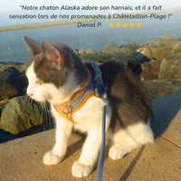 Harnais pour chat | HarnessCat™ + Laisse offerte